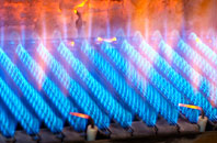 Whiteside gas fired boilers